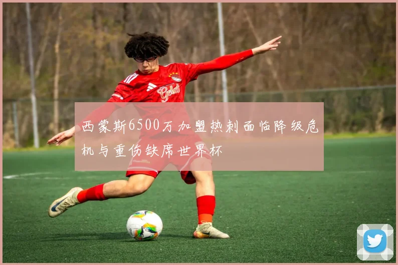 西蒙斯6500万加盟热刺面临降级危机与重伤缺席世界杯